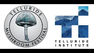 TMF 2020 Virtual Festival Trailer