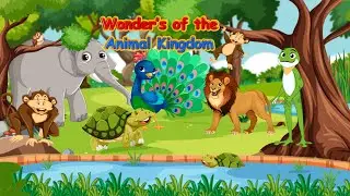 Wonders of the Animal Kingdom