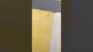 Paylaş