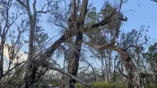 McLeod River Cape York