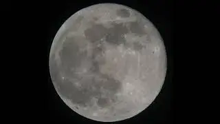 Bird transit across the Super Pink Moon 27 April 2021