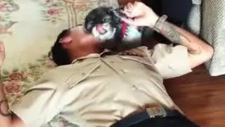 Dogs on Deployment