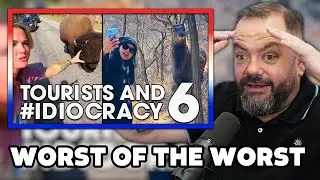 Tourists and #IDIOCRACY 6 REACTION | OFFICE BLOKES REACT!!
