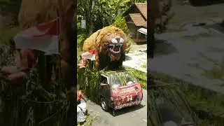 Karnaval Randusari Kepil Wonosobo #ogohogoh #macan #shorts