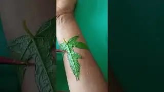 Most beautiful 🤩❤️ bracelet mehndi design trick #treadings #mehndidesign #viralshorts
