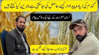 Wheat Crop Seminar 2025 | Complete Guidance from Sowing to Harvest | Farming Tips & Training |