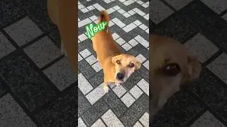 #thennow