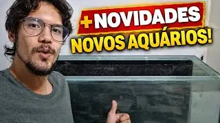 DOIS NOVOS AQU&Aacute;RIOS DE 200 LITROS E 260 LITROS!
