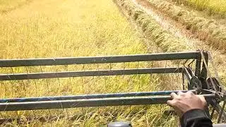 Yanmar 850 L in cambodai 
