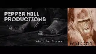 Pepper Hill Productions/Walcott/Lord Miller/Georgia/20th Century Fox Television/Netflix (2020)