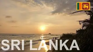 ✈️ Sri Lanka south coast - travel, surf, dive, scooter 🌴🐘 🐋 🐢🏄🤿🚌 DJI Mini Drohne Videonauts