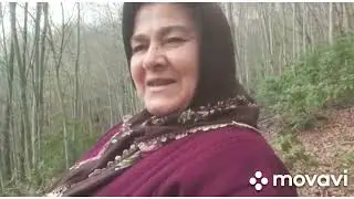 Ordu kumru güneycik köyümden benim için çok güzel kareler canlar🌰🌰🌰👍