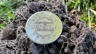 Metal Detecting Nz: Found a Bucket Lister.