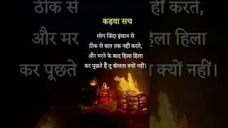 sayari #sayarihindi #sayari #youtubeshorts #ytshorts