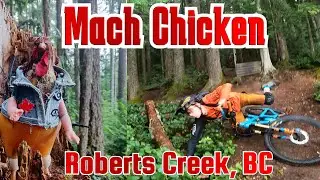 Mach Chicken, Roberts Creek, British Columbia, Sunshine Coast, Canada MTB
