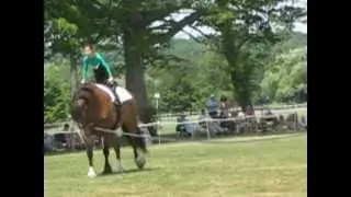 Vaulting Demo at Lorenzo Driving Competition