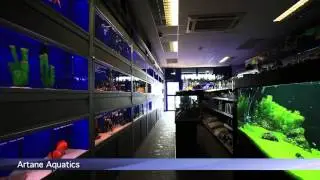 PFK Shoptour: Artane Aquatics, Dublin