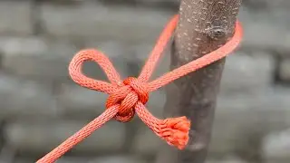 The Best Rope Knot For Beginners!