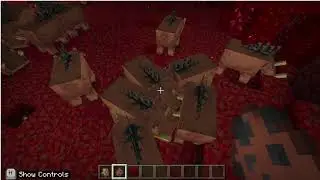 The Unsolved Mystery of the Hoglins...