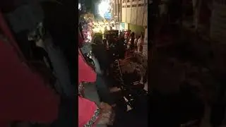 Siswa bazar , Durga ji ka visarjan