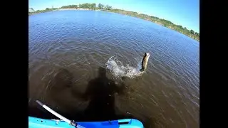 Big Pike +Tiny Boat = Pure Chaos!