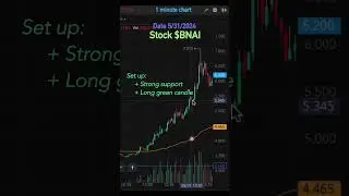 Day Trade Top Gainer Stock $BNAI 5/31/2024