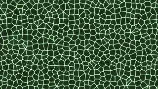 Green Mesh Animation Background - 4K