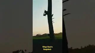 Village Road In Bangladesh #bangladesh #villageroad #shorts #youtubeshorts
