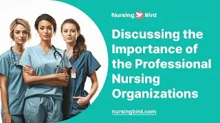 Discussing the Importance of the Professional Nursing Organizations - Essay Example