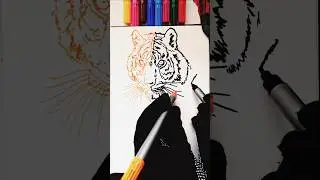 how to draw a tiger