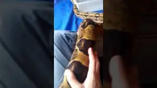 Me and My Big Girl 