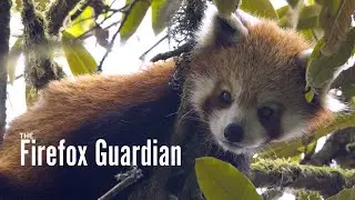 The Firefox Guardian. Short documentary clip