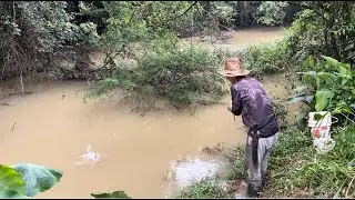 Só foi a chuva começar e os bigodão apareceram, pescaria!!!