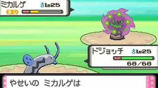 Pok&eacute;mon Pearl Version (Japanese) - Catching Spiritomb