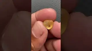 Natural Yellow Sapphire 💛 | 5.00ct Eye Clean | Ceylon Gemstone