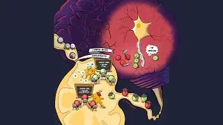 Altering the immune system to reverse paralysis (video)