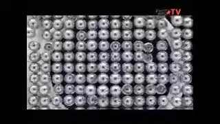 Начало Эфира (Europa Plus TV, 17.06.2015)
