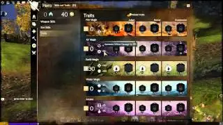 How I Set Up the BEST Traits Possible in Guild Wars 2
