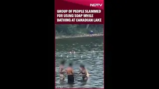 Group Of People Slammed For Using Soap While Bathing At Canadian Lake: 