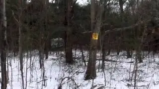 Homes for Sale - 0 County Route 412 Westerlo NY 12193 - Amanda Schultz