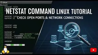 Netstat Command Linux Tutorial: Check Open Ports & Network Connections