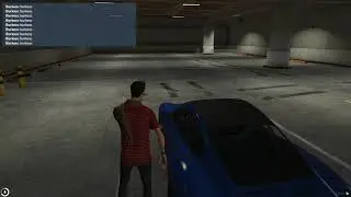 NP 3.0 Hud