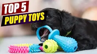 Top 5 Best Puppy Toys for Fun, Training & Teething in 2025!
