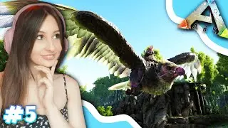 JE TAME MON PREMIER ARGENTAVIS! #5🐬ARK THE ISLAND FR - ARK FR -