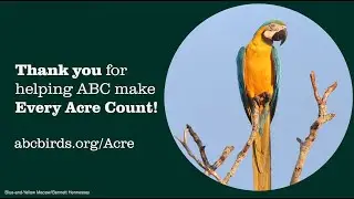 Thank you for making bird conservation possible!
