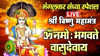 LIVE : मंगलवार स्पेशल - श्री विष्णु महामंत्र - ॐ नमो भगवते वासुदेवाय - Om Namo Bhagavate Vasudevaya