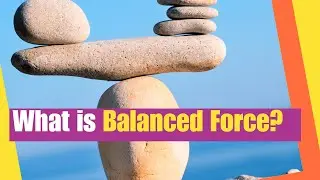 What is Balanced Force?  Learn what happens when equal forces act in opposite directions