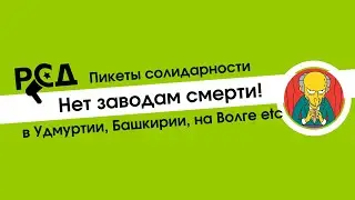 Иван Овсянников (РСД). Нет заводам смерти! Пикетная очередь [15.02.2020]