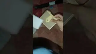 Card Holder Moosdoom