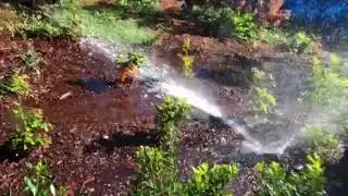 Water sprinkler